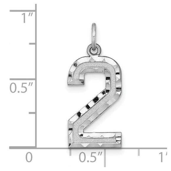 14k White Gold, Varsity Collection, Large D/C Pendant, Number 2 - Picture 4 of 5